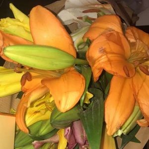 Meet your Posher, Zeinab